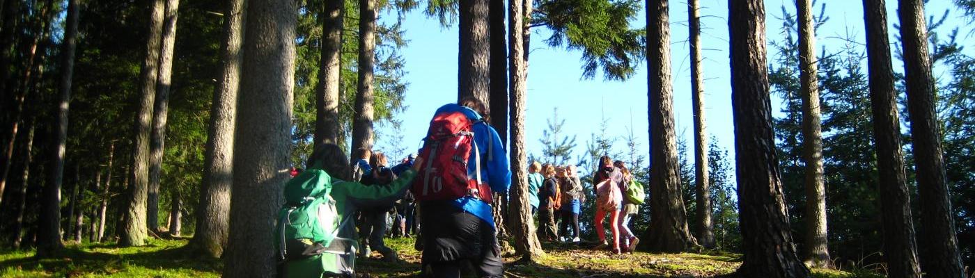 Klasse im Wald