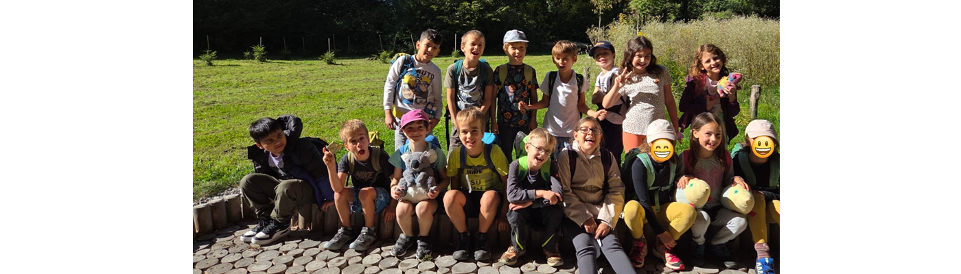Waldschule