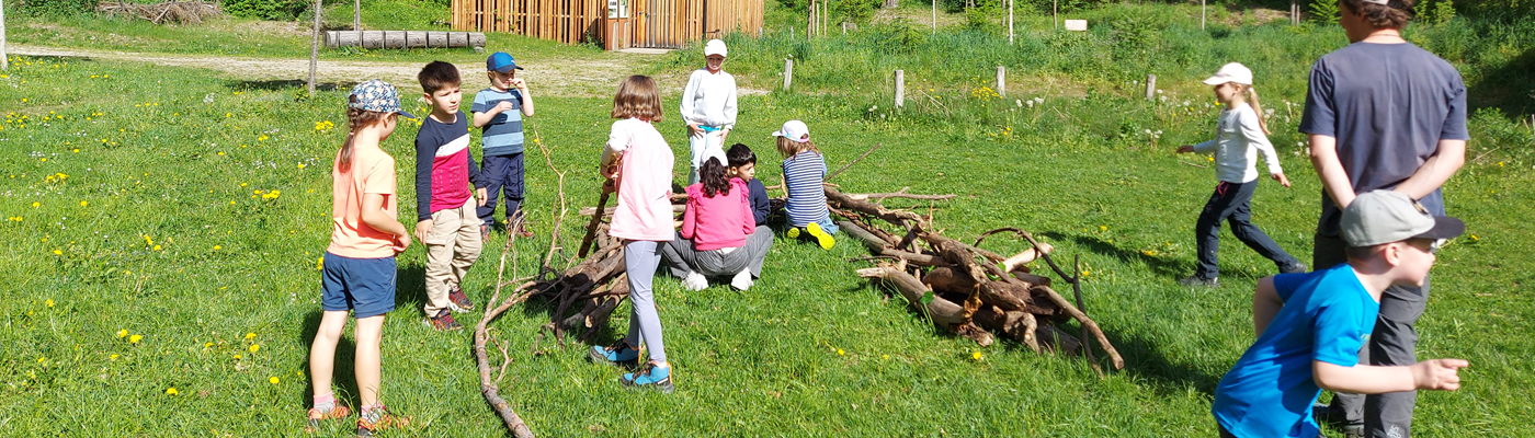 Waldschule