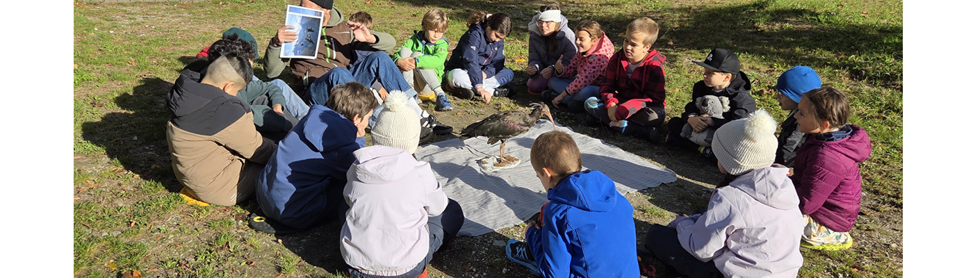 Waldschule