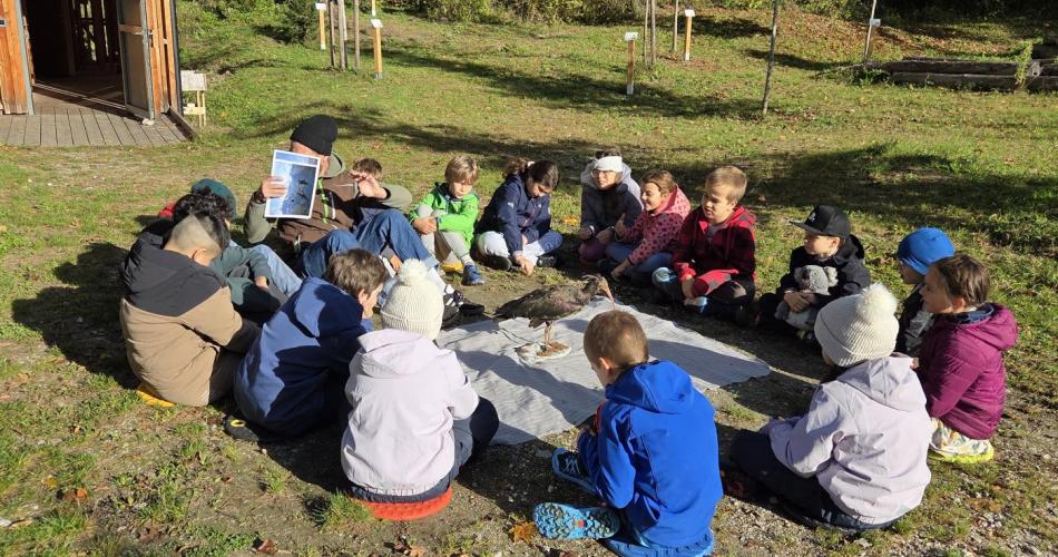 Waldschule